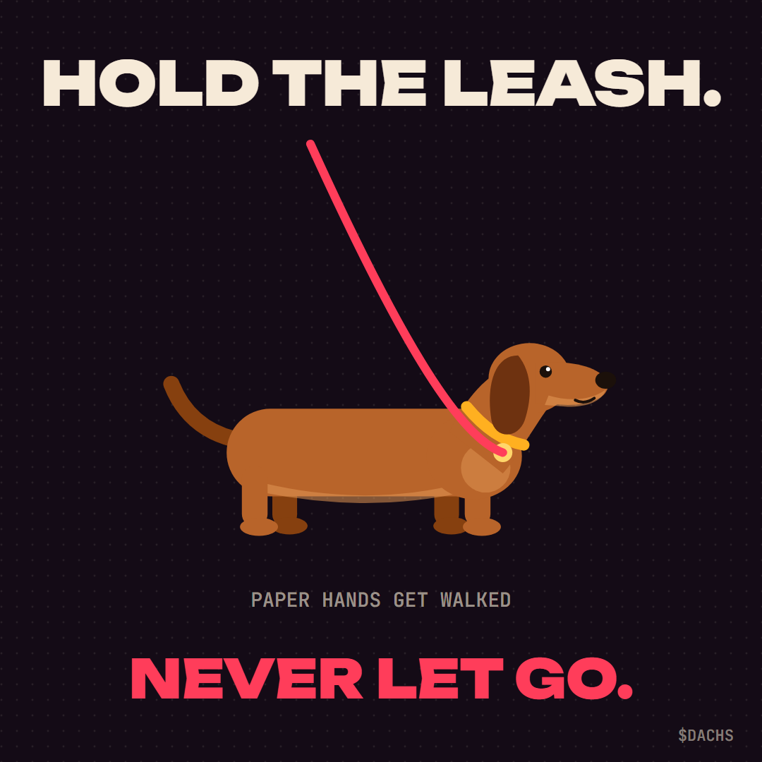 Hold the leash, never let go